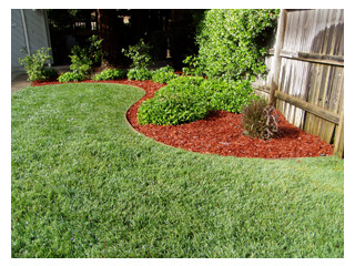 After installing new mulch