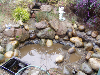 Before cleaning pond