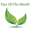Tips Of The Month