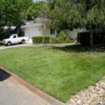 Lawn Dethatching