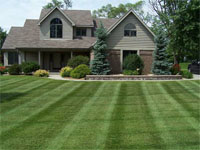 Full Lawn Maintenance